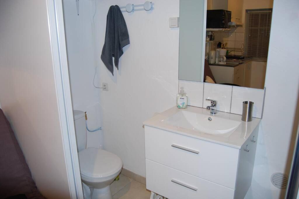 L'Atelier A 100 M De Tarbes Sud Villa Laloubere Buitenkant foto